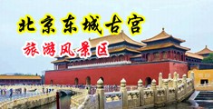 啊哈好大插的好深流水了好舒服还要视频中国北京-东城古宫旅游风景区